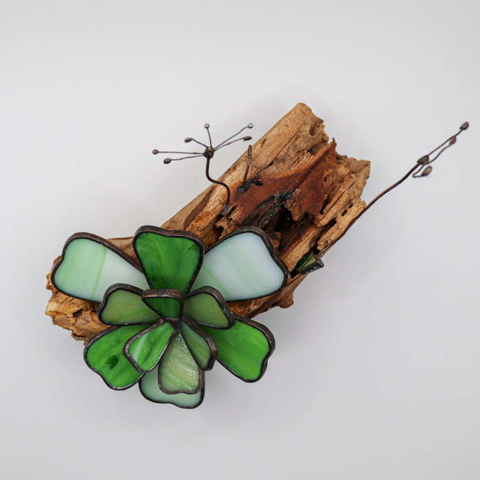 Decor Vitraliu Suculentă pe rădăcină lemn natural 20 cm [3]