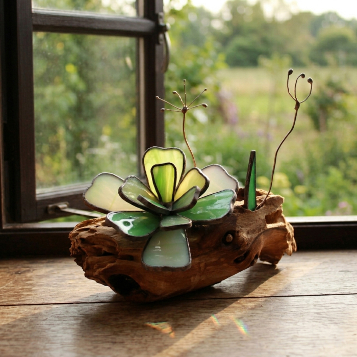 Decor Vitraliu Suculentă pe rădăcină lemn natural 20 cm [5]