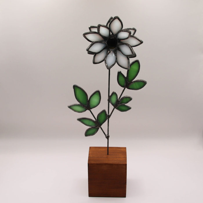 Crizantema din Vitraliu [2]