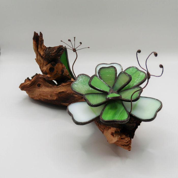 Decor Vitraliu Suculentă pe rădăcină lemn natural 24 cm [5]