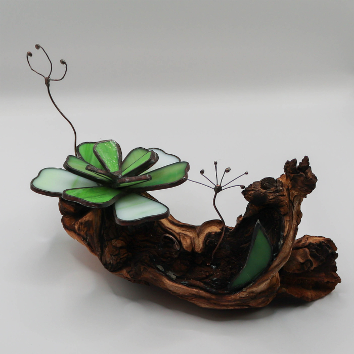 Decor Vitraliu Suculentă pe rădăcină lemn natural 24 cm [8]