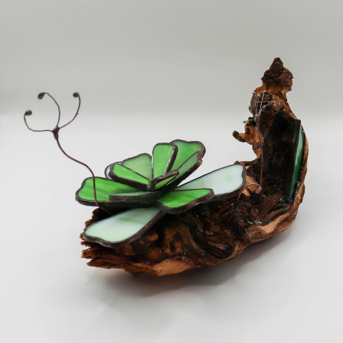 Decor Vitraliu Suculentă pe rădăcină lemn natural 24 cm [7]