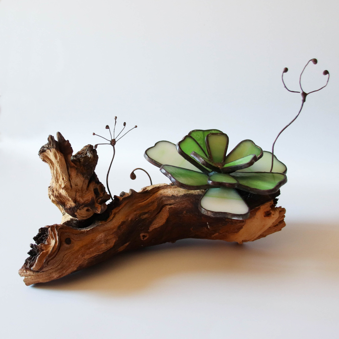 Decor Vitraliu Suculentă pe rădăcină lemn natural 24 cm [2]