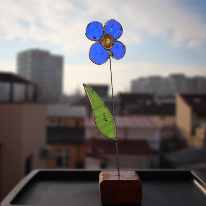 Floare albastra [1]