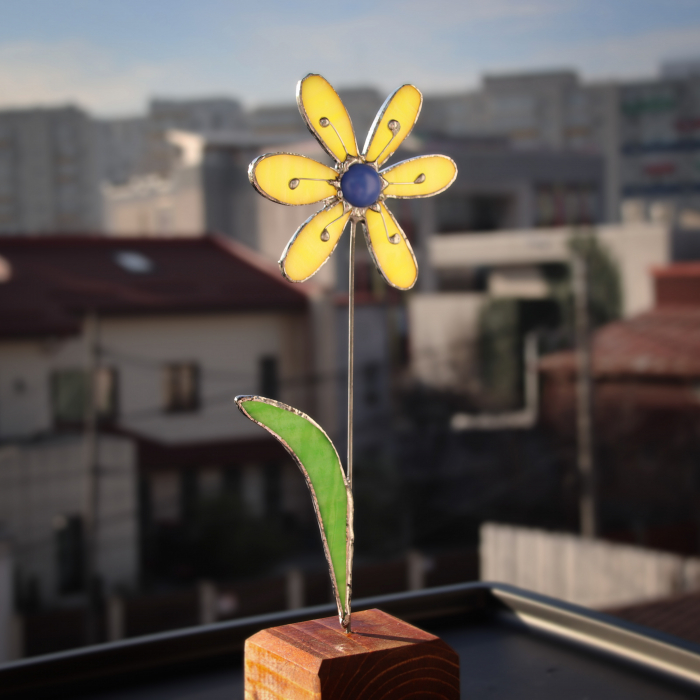 Floare galbena [1]