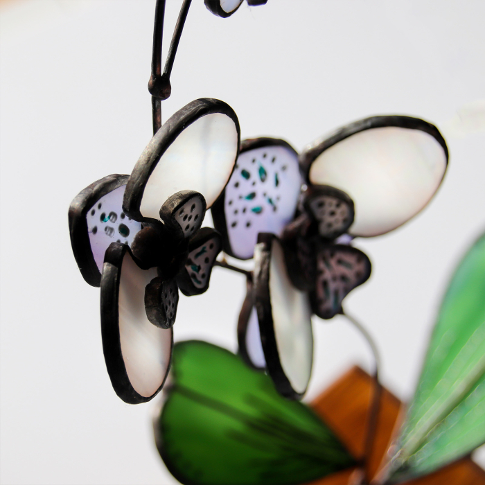 Orhidee 3D alb sidefat [2]