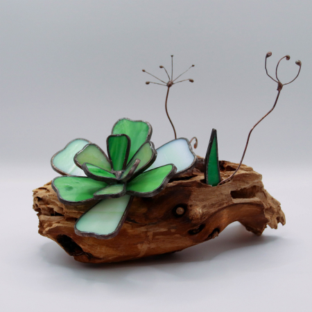 Decor Vitraliu Suculentă pe rădăcină lemn natural 20 cm