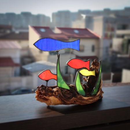 Shop - Acvariu in aer liber