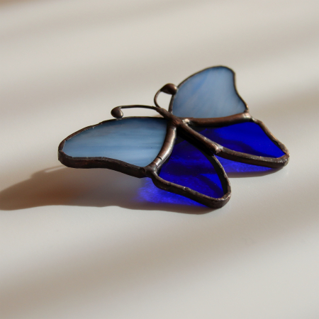 Shop - Brosa Fluture Bicolor cu Albastru