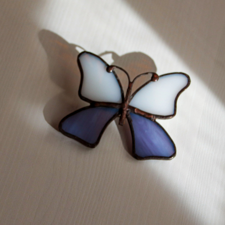 Brosa Fluture Bicolor [1]