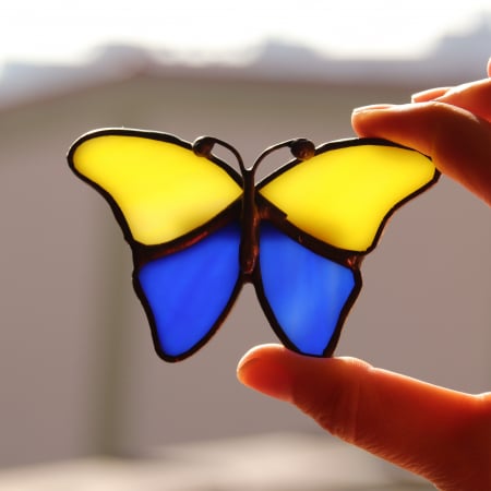 Brosa Fluture Bicolor cu Galben [3]