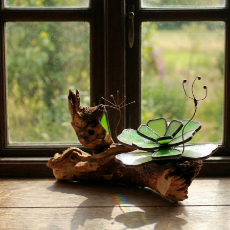 Decor Vitraliu Suculentă pe rădăcină lemn natural 24 cm