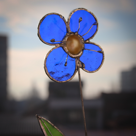 Floare albastra [1]