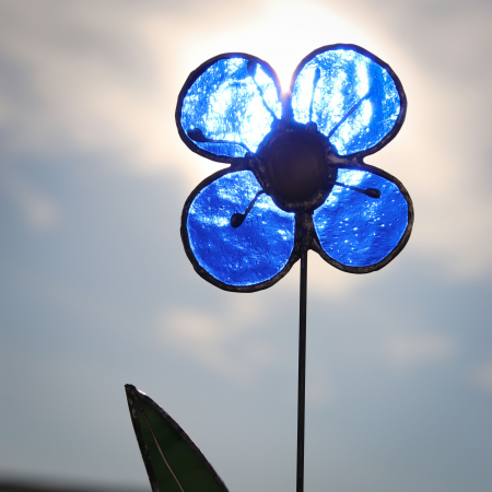 Floare albastra [2]