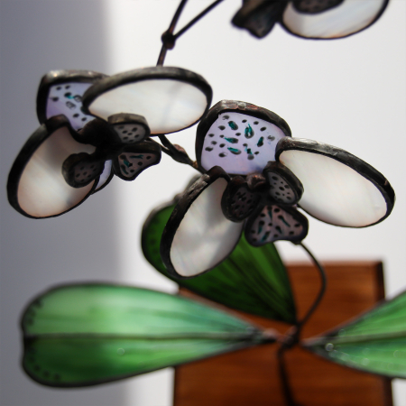 Shop - Orhidee 3D alb sidefat