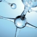Acid hialuronic de origine vegetală