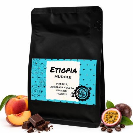 Cafea de specialitate - Etiopia Guji Mudole