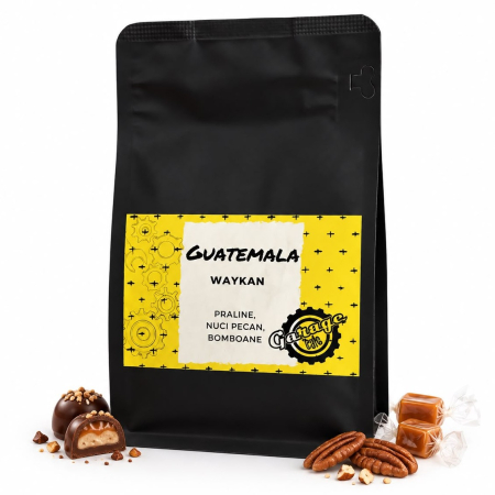 Cafea de specialitate - Guatemala Huehuetenango Waykan
