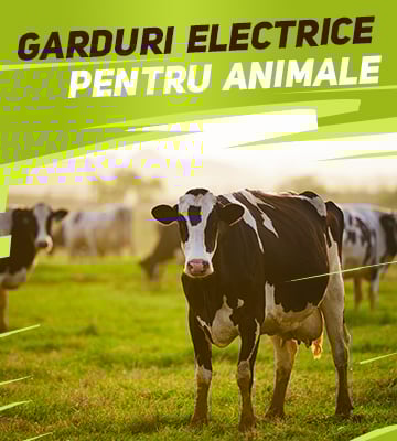 Alegeți un pachet potrivit necesităților Dumneavoastră !