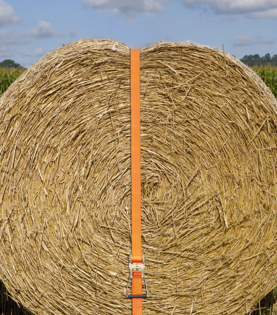 Chingă de fixare cu clichet, 2 piese, 50 mm, 10 m [8]