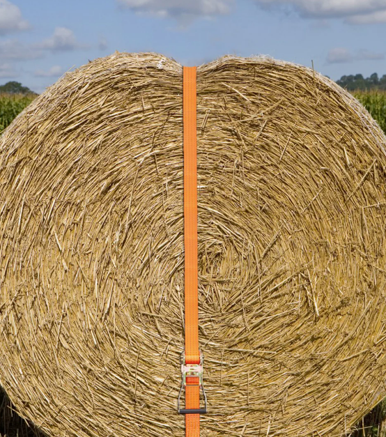 Chingă de fixare cu clichet, 2 piese, 50 mm, 4 m [8]