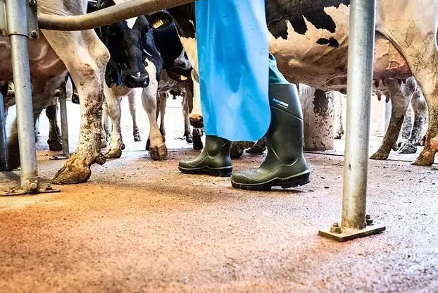 Cizme din poliuretan NoraMax Agri O4 [6]
