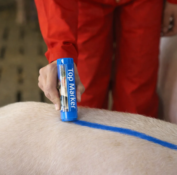 Creion albastru pentru marcarea animalelor TopMarker [4]