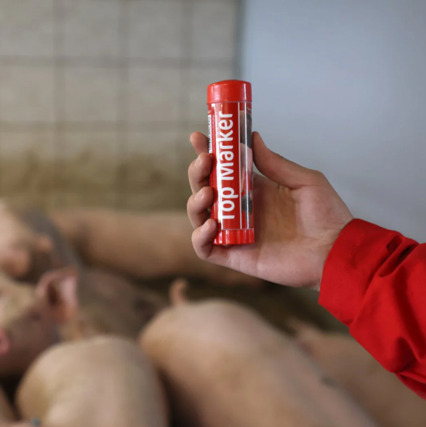 Creion roșu pentru marcarea animalelor TopMarker [3]