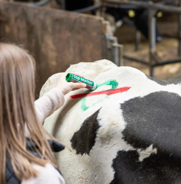 Creion verde pentru marcarea animalelor TopMarker [4]