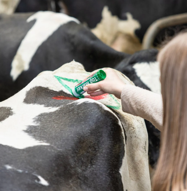 Creion verde pentru marcarea animalelor TopMarker [3]