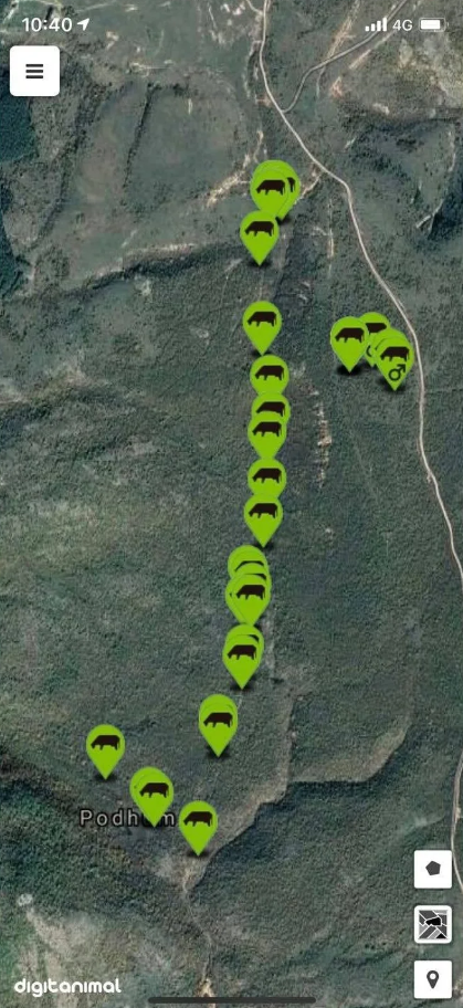 Zgardă GPS pentru monitorizarea și localizarea animalelor [12]