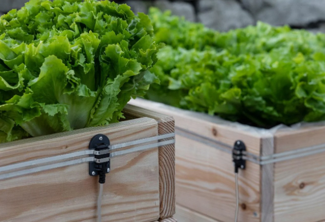 Racordări de răzor 2,5 m – pentru straturi, protecție împotriva melcilor [4]