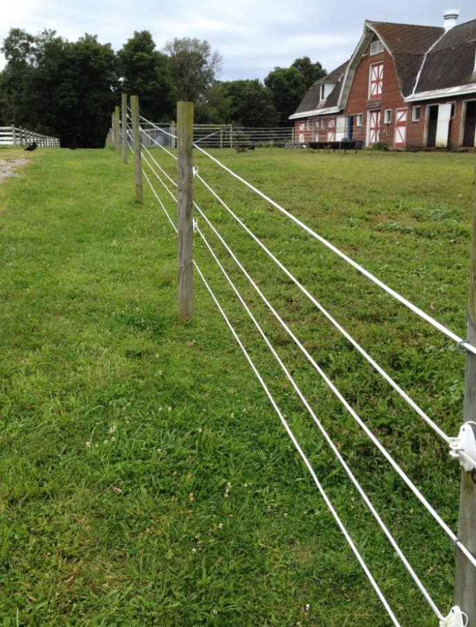 Sârmă gard electric NEXON TopLine – Ø 6 mm / 400 kg [6]