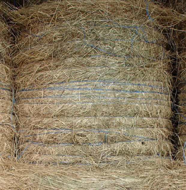 Sfoarǎ de balotat, JOHN DEERE PREMIUM TWINE 750+ [3]