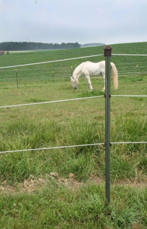 Stâlp metalic T-Post pentru gard electric NEXON Modular – 240 cm [2]