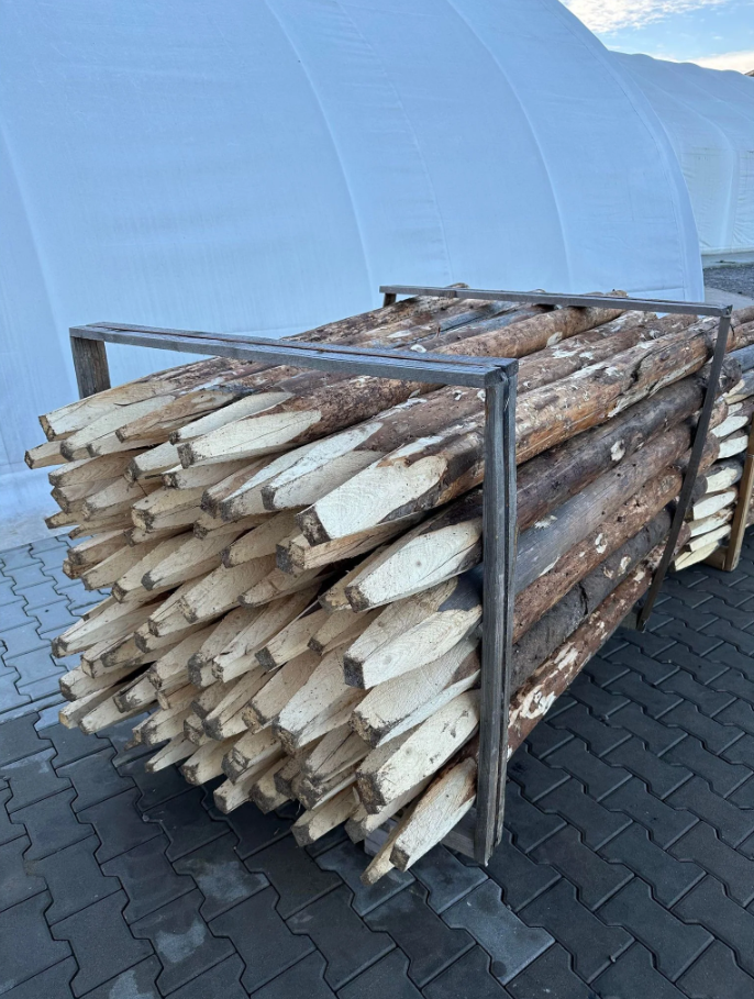 Stâlpișori lemn netratați pentru gard electric [3]