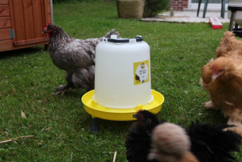 Zootehnie - Adapatoare pentru pui/ gaina - 5L
