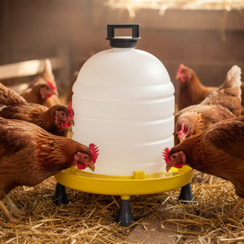 Zootehnie - Adăpătoare pentru pui și găini 15L