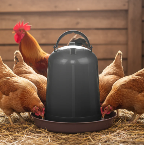 Zootehnie - Adăpătoare pentru pui și găini 5L din plastic reciclat