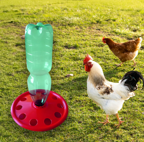 Adăpătoare pentru pui tip flacon PET [1]
