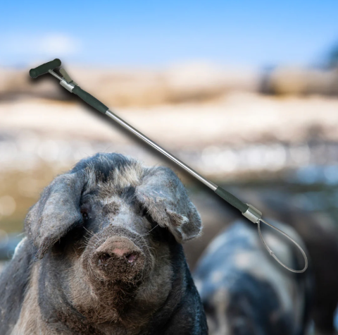 Zootehnie - Bară de contenție cu mâner 60cm pentru porci