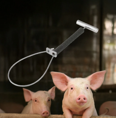 Produse Veterinare - Bară de contenție pentru porci cu mâner 30 cm