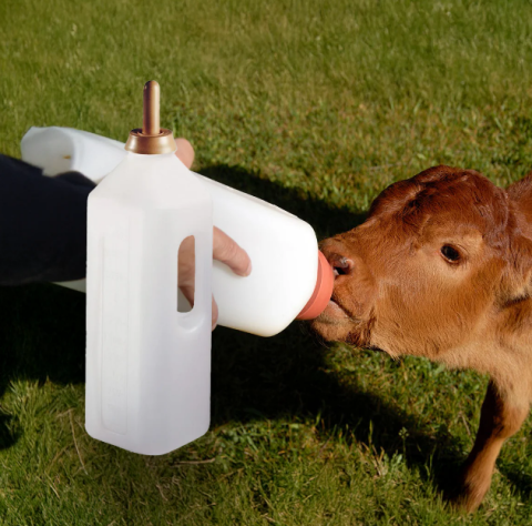 Hrănitoare - Bidon alăptare viței 3L cu tetină roșie și scară gradată