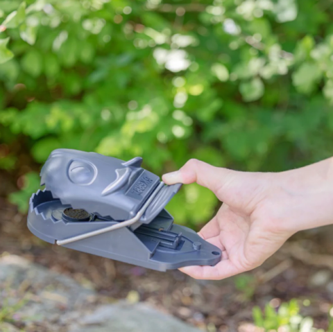 Zootehnie - Capcană pentru șobolani RatStop, set 2 bucăți cu rezervă