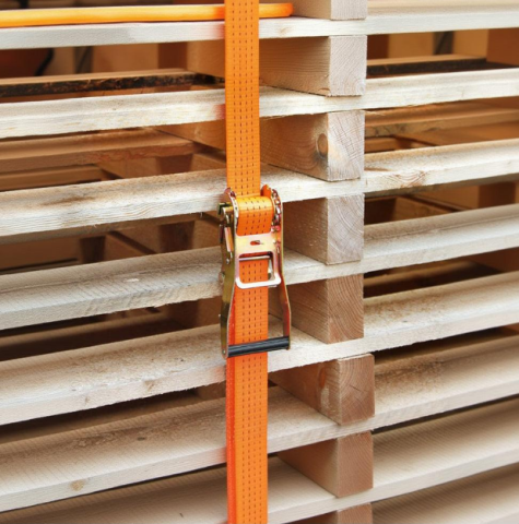 Zootehnie - Chingă de fixare cu clichet, 2 piese, 50 mm, 10 m