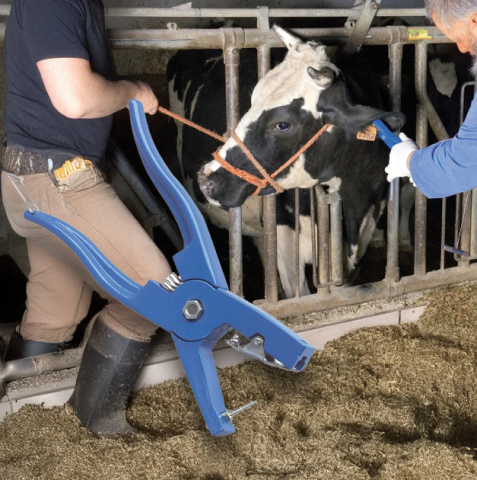 Marcarea Animalelor - Clește crotaliere cu cui + rezervă