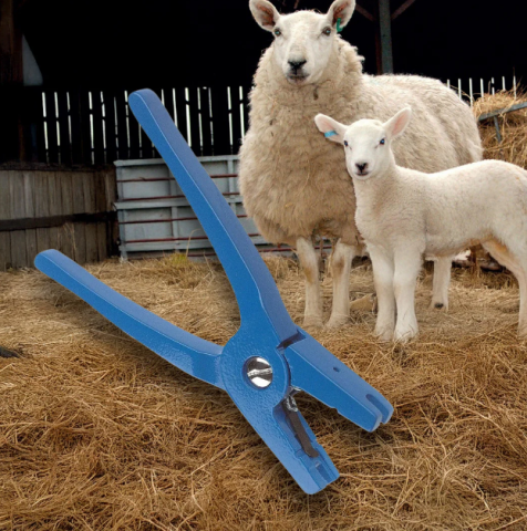 Zootehnie - Cleste crotaliere fara cui