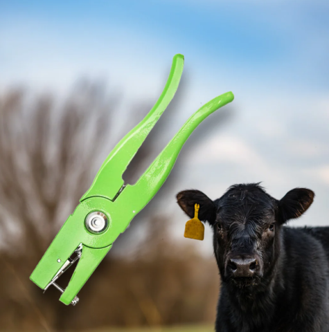 Zootehnie - Clește crotaliere verde cu cui