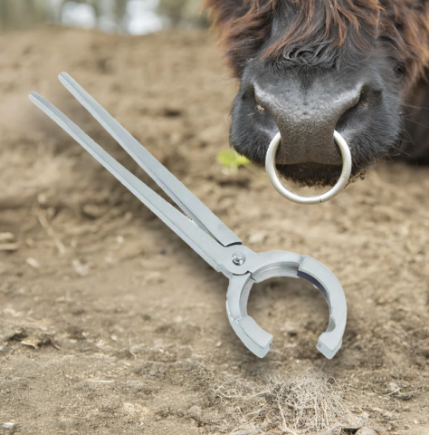 Produse Veterinare - Clește pentru inel nazal taur – compatibil până la 54 mm