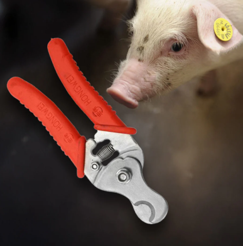 Zootehnie - Clește tăiat crotalii